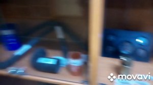 фредлайнер аргоси (заехал в магазин)