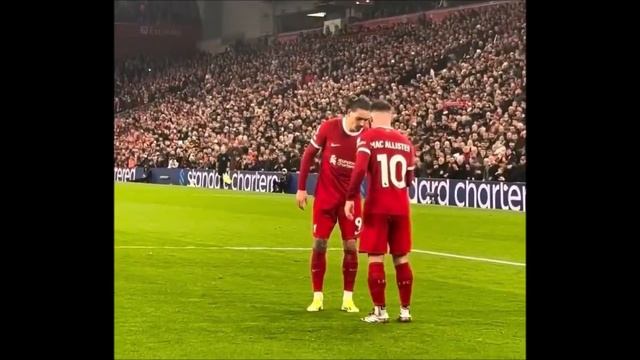 Watch what happened between Mac Allister and Nunez After Liverpool's second goal vs Sheffield Utd 😍 смотреть онлайн