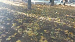 Москва осень.осень