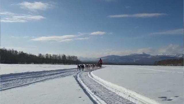 Камчатка.Центр притяжения-Корякское стойбище Авача-МЕЙ. Питомник ездовых собак.Участники Беренгии.