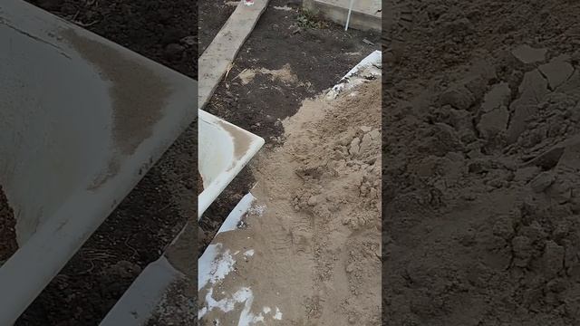 🌲🌳Готовим торфосмесь для черенкования хвойных 🌳🌲