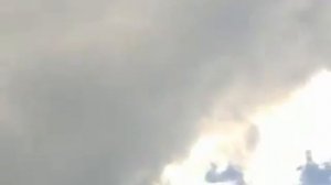 Парашют лесник-2 на лес.