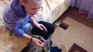 ЗАМОТАЛ ДРУГА В СКОТЧ 4!!!