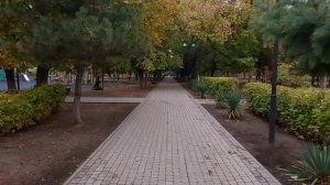 Дом на Юге. Купил и посадил саженцы.