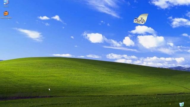 windows xp & office xp