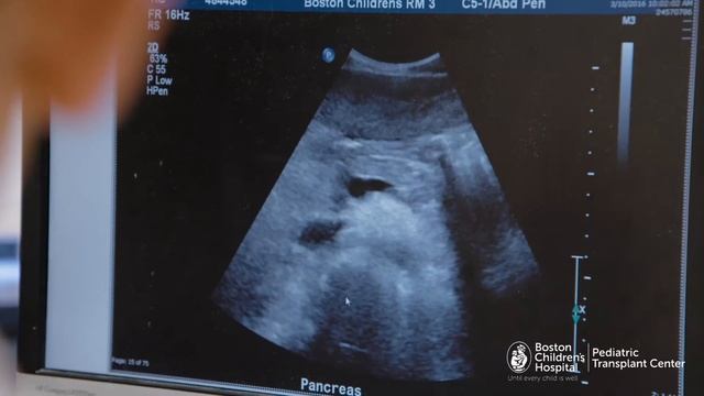 Caregiver Profile: Scott A. Elisofon, MD | Boston Children's Hospital смотреть онлайн