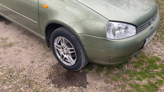 ПОЛИРОВКА КАЛИНЫ | УБИРАЮ РЫЖИКИ ПОСЛЕ ЗИМЫ