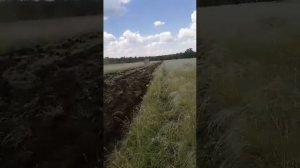 краз пашет целину
