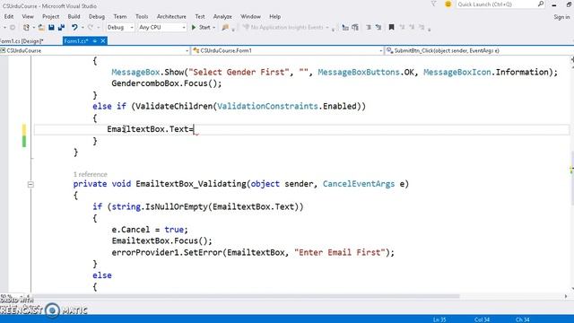 Form Validation Error Provider in C# Part 2