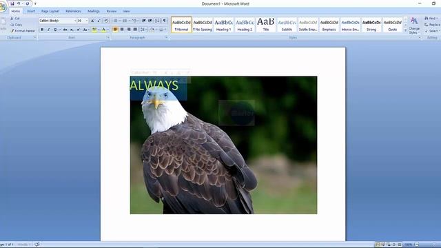 How to Write on an image in Word -Microsoft Word Tutorials смотреть онлайн