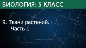 Биология 5 класс: Ткани растений. Часть 1