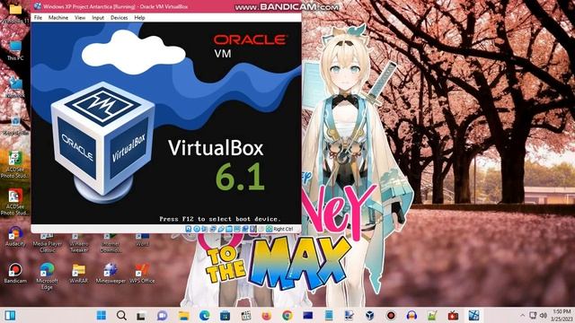 Windows XP BSOD 744 (2023) смотреть онлайн