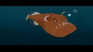 PBS Kids Promo: Halloween / Weird Kratts Week (2012)