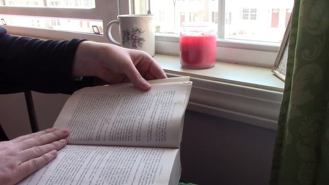 Reading/Studying Ambience - Reading a Book by a Sunny Window (with music) REAL смотреть онлайн