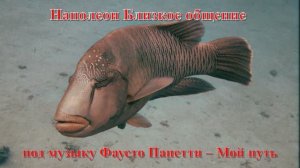 3 Наполеон Близкое общение под музыку Фаусто Папетти – Мой путь HD
