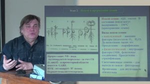 6. Эмбриогенез растений. Физиология растений II - Носов А. М. Teach-in.