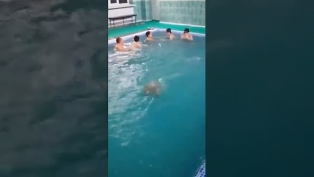 Алмаз.бассейн