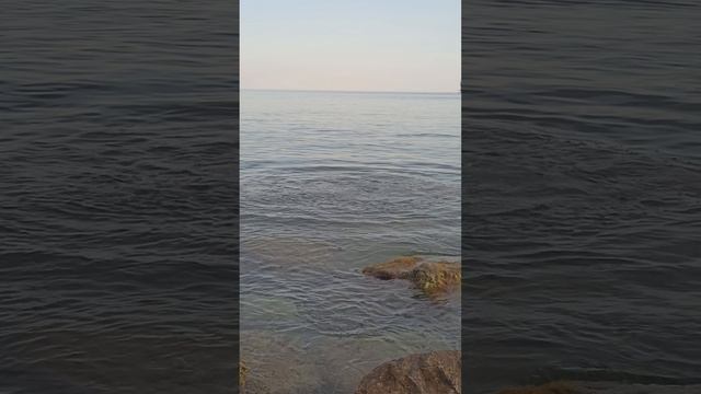 Бульк
