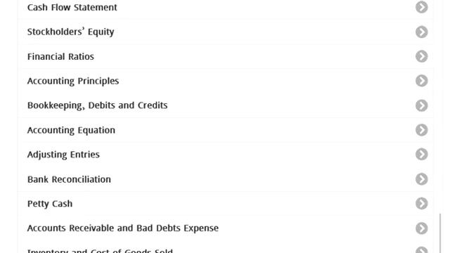 Basic Accounting Android app demo смотреть онлайн