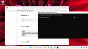 How to Fix Error Please Check Your Network Connection in Windows 11