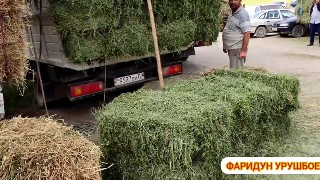 МОЛБОЗОРИ Ш.ИСТАРАВШАН НАРХОИ ПРЕСХО БЕДА,ГАНДУМ,ЧАВ,...😱
