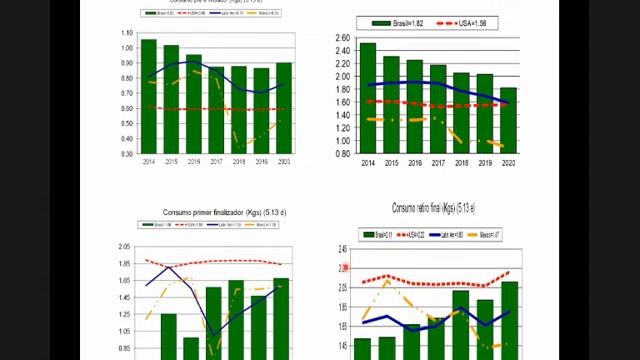 Benchmarking Avícola Herramientas para mejorar nuestra competitividad смотреть онлайн