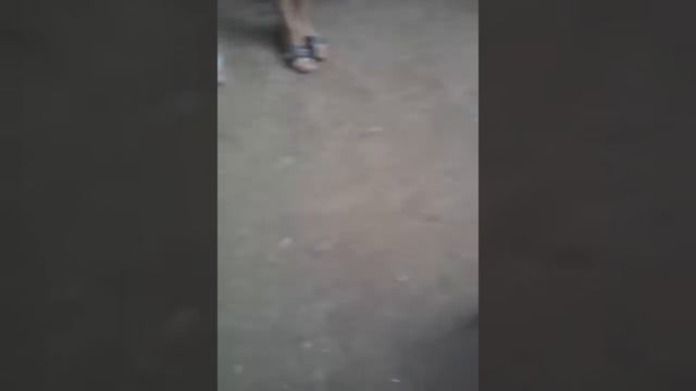 Про скейт-Бордисты Угааар!! смотреть онлайн