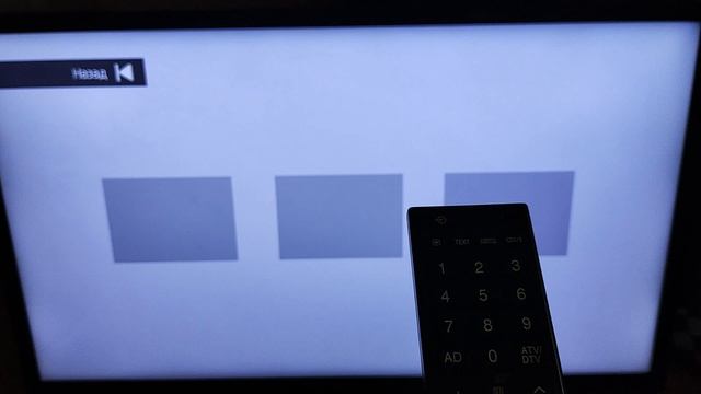 VID_20241020_150630