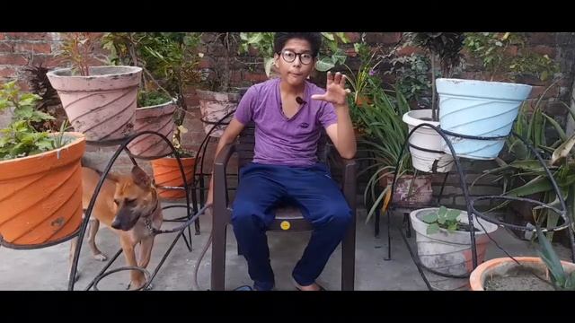 How To Teach Your Dog ||Take Your Seat Command || Sit On Chair Training смотреть онлайн