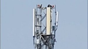 Huawei P60 Pro Live Zoom Test