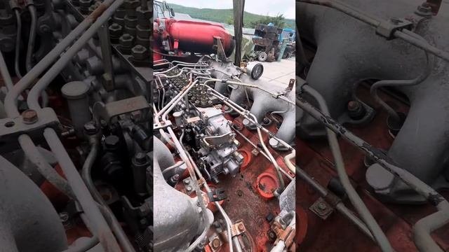 12PD1