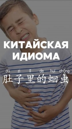 китайская идиома 肚子里的蛔虫