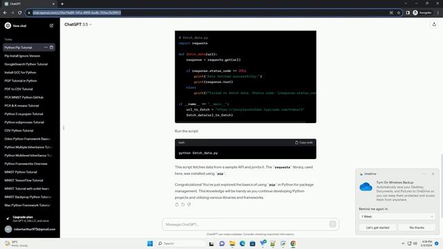 pip install in python