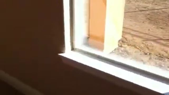 Windows family room смотреть онлайн