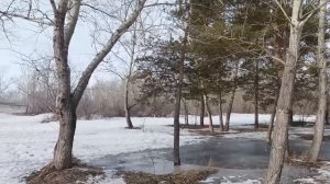 Мой муж – маменькин сынок! 30 лет его обслуживала мама, а теперь: работать, готовить и убираться...