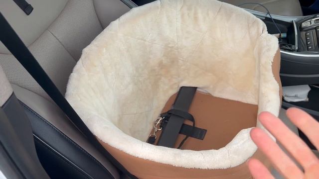 Amazon Basics Pet Car Booster Bucket Seat - 18 x 18 x 16 Inches.