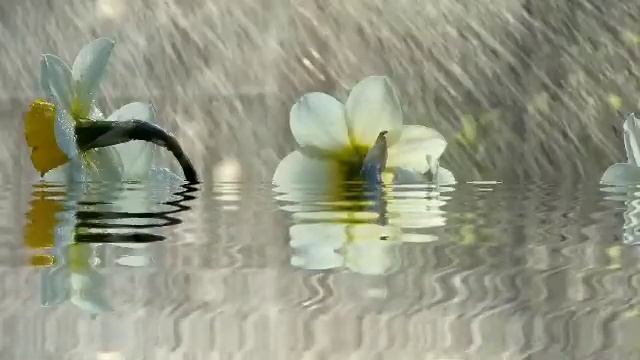 Тонги зикрлар / Эрталабки дуо/ дуолар/ зикрлар смотреть онлайн