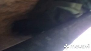 Обзор кабины газон некст с закабинным спальником.