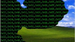 windows XP error2