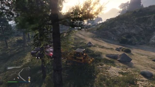 Bird hit my window смотреть онлайн