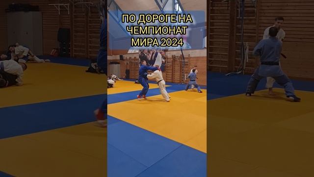 Подготовка сборной России к Чемпионату мира 2024.