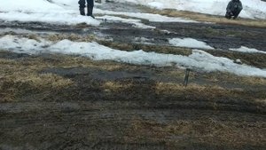 Зерновоз засел