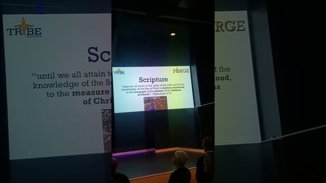 FORGE WMDC. смотреть онлайн