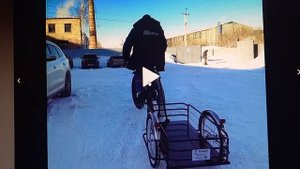 велоприцепы от "Веломаруси"- Курьер. Кузовок 2.0.  3.0.  L . Кузов...