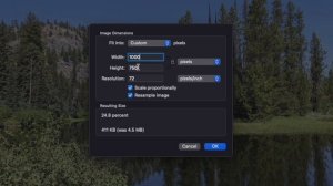 How to resize an image on Mac