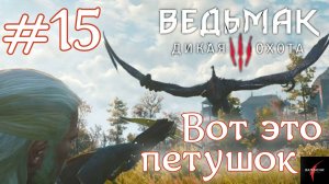 Вот это петушок • Ведьмак 3: Дикая Охота#15