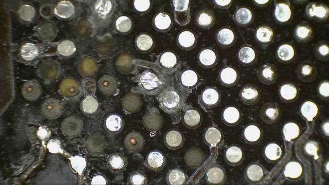 MacBook Pro 15" 2011 Disturbi Video Distinguere tra Bga Chip Video GPU o Chip Processore CPU смотреть онлайн