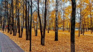 КАМА КАМА - Челнинская осень