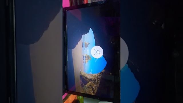 lenovo g580 i3,128ssd,6gb ram 8000 смотреть онлайн