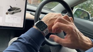 Tesla Model 3 Watch App 2021